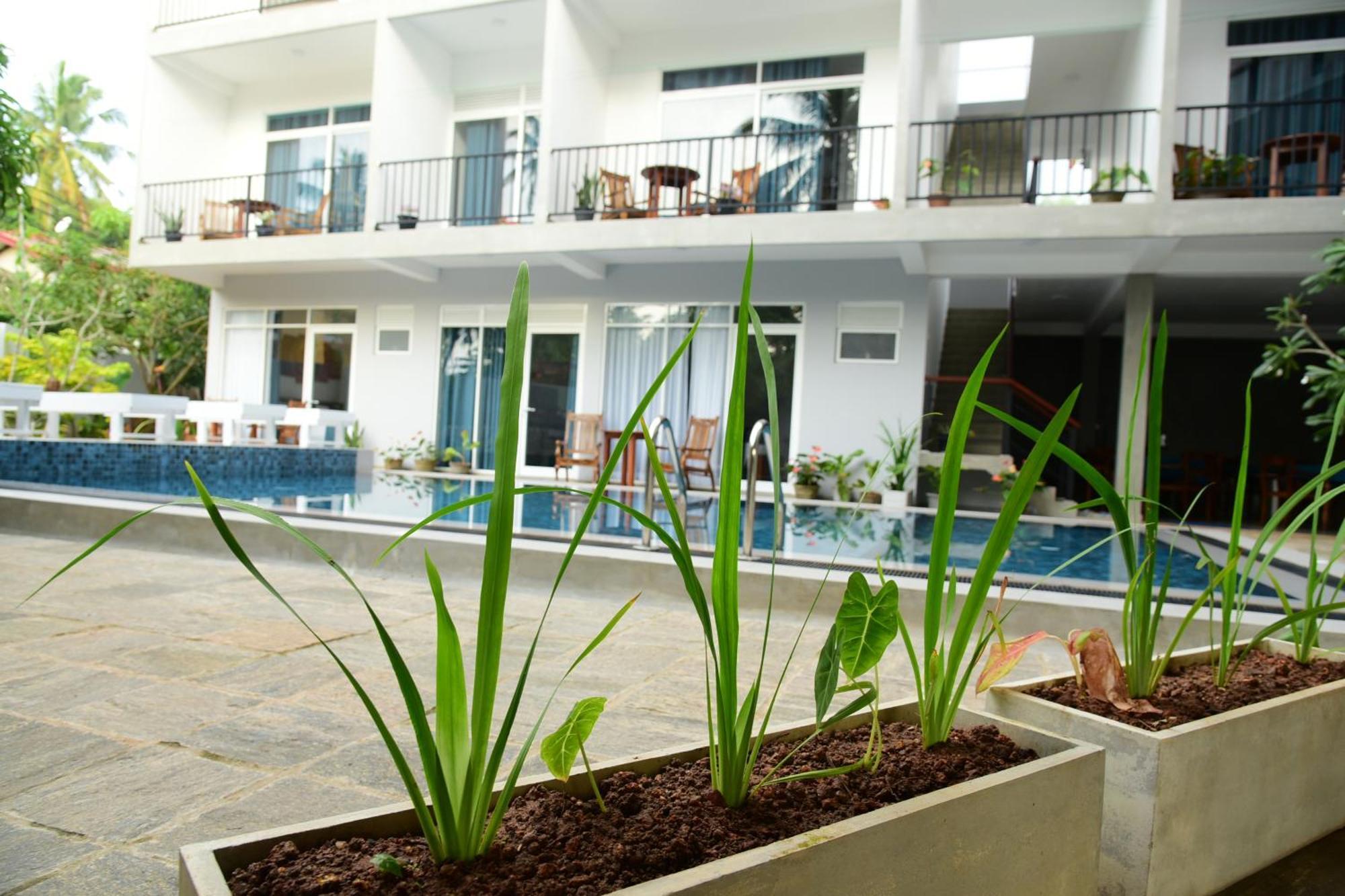 Di Sicuro Tourist Inn Hikkaduwa Exterior foto